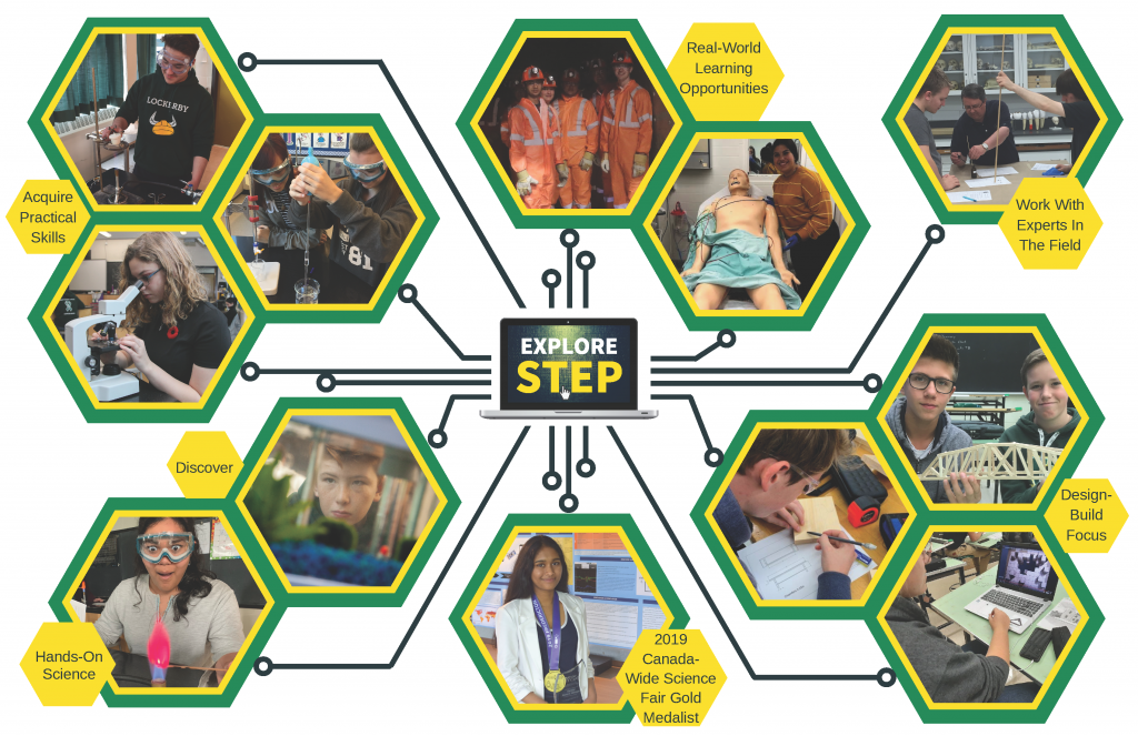 STEP Brochure in action